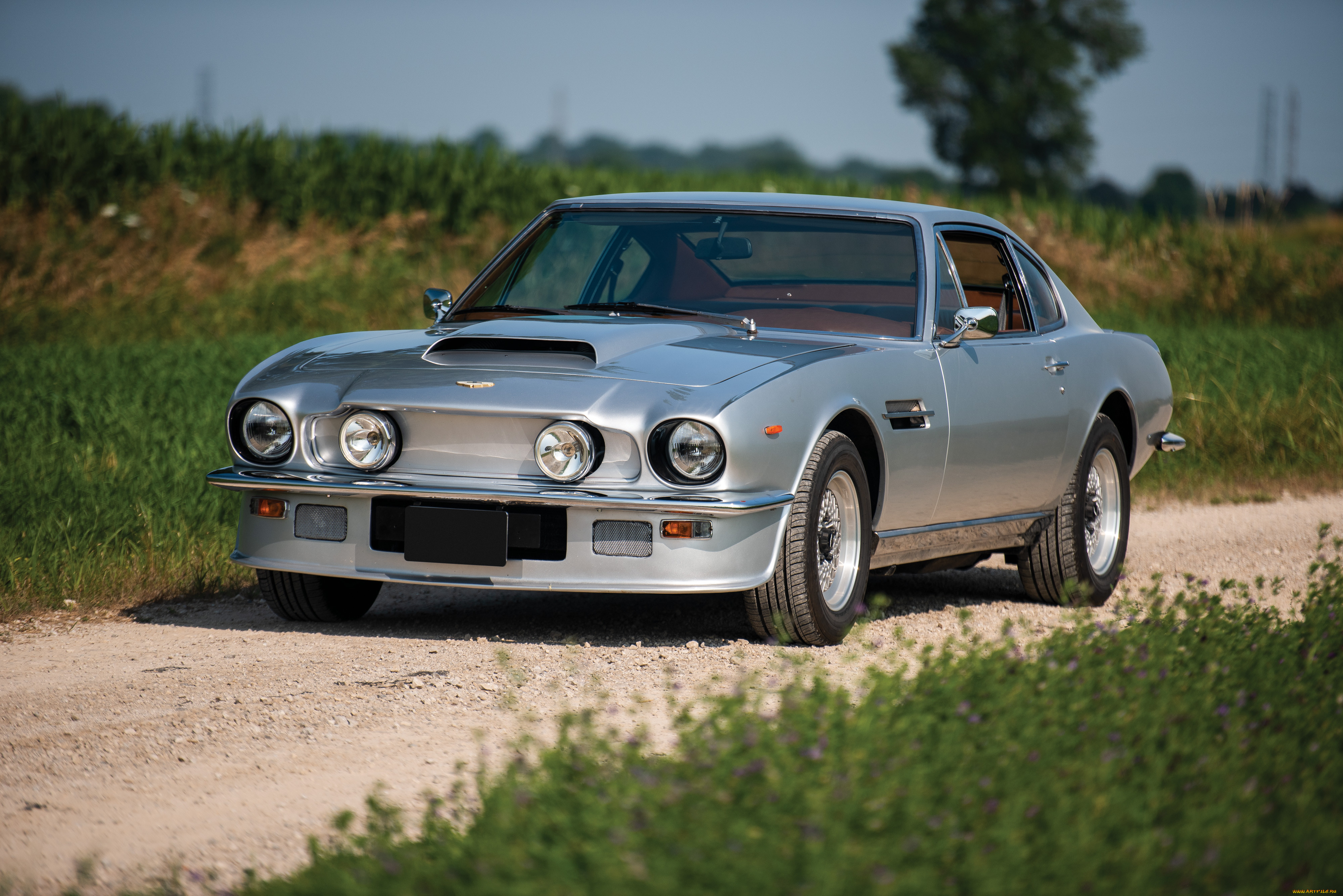 Aston Martin v8 Vantage 1977